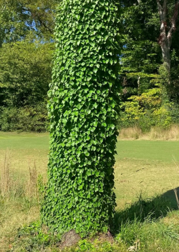 untitled design 2025 11 13t154509.956