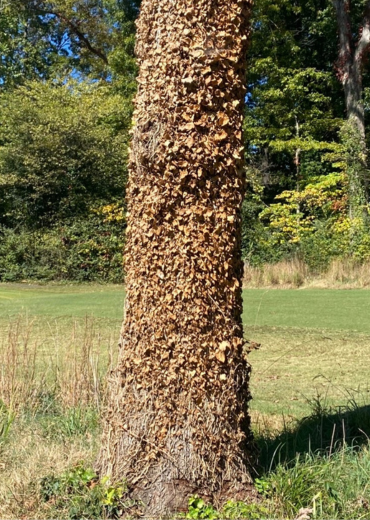 untitled design 2025 11 13t154528.820