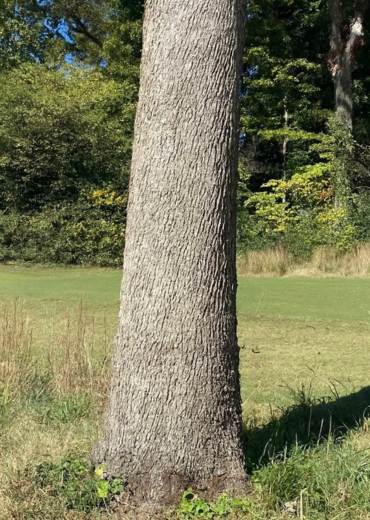 untitled design 2025 11 13t154612.348